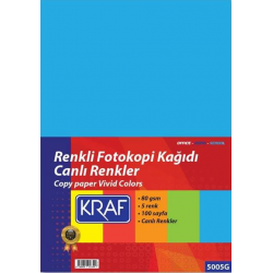 PASİF KRAF FOTOKOPİ KAĞIDI CANLI 5 RENK 100LÜ 5005G