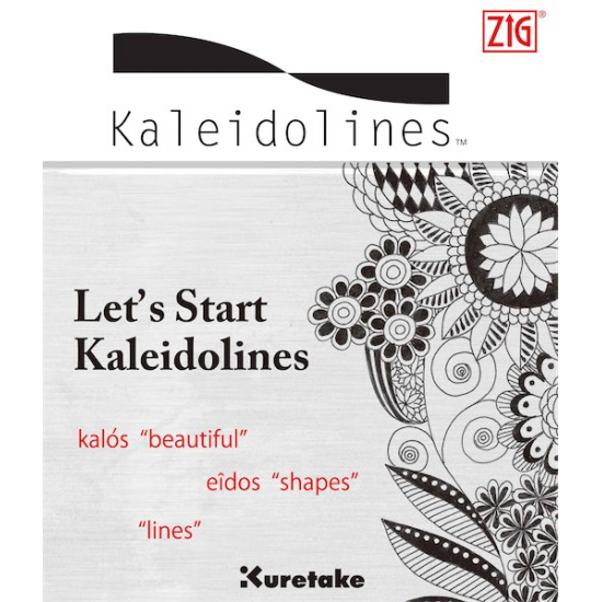 ZIG EĞİTİM KİTAPÇIĞI DESEN KALEIDOLINE INTX300-801 ZIG EĞİTİM KİTAPÇIĞI DESEN KALEIDOLINE INTX300-801